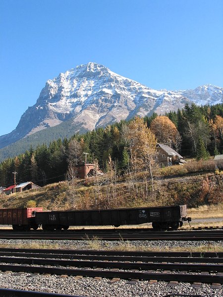 Click on picture to go back.